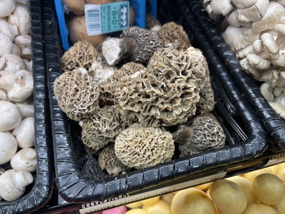 A display of various mushrooms at a market or store, with a central focus on a pile of morel mushrooms. The morels have a distinctive honeycomb-like texture and earthy brown color. Surrounding them are other types of mushrooms, such as white button and oyster mushrooms.