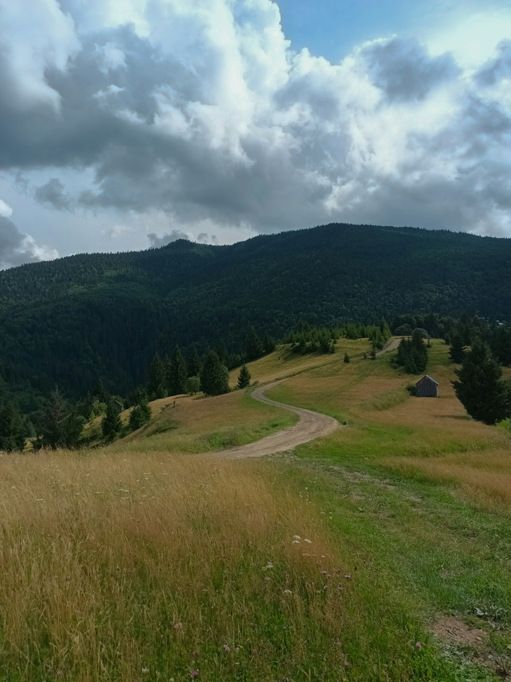 a grassy field with a dirt road in the middle of it