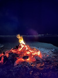 A small campfire burns brightly on a sandy beach at night. The fire's embers glow with intense red and orange hues, while flames flicker and dance upwards. In the distance, the dark ocean and a clear, starless sky create a serene backdrop.