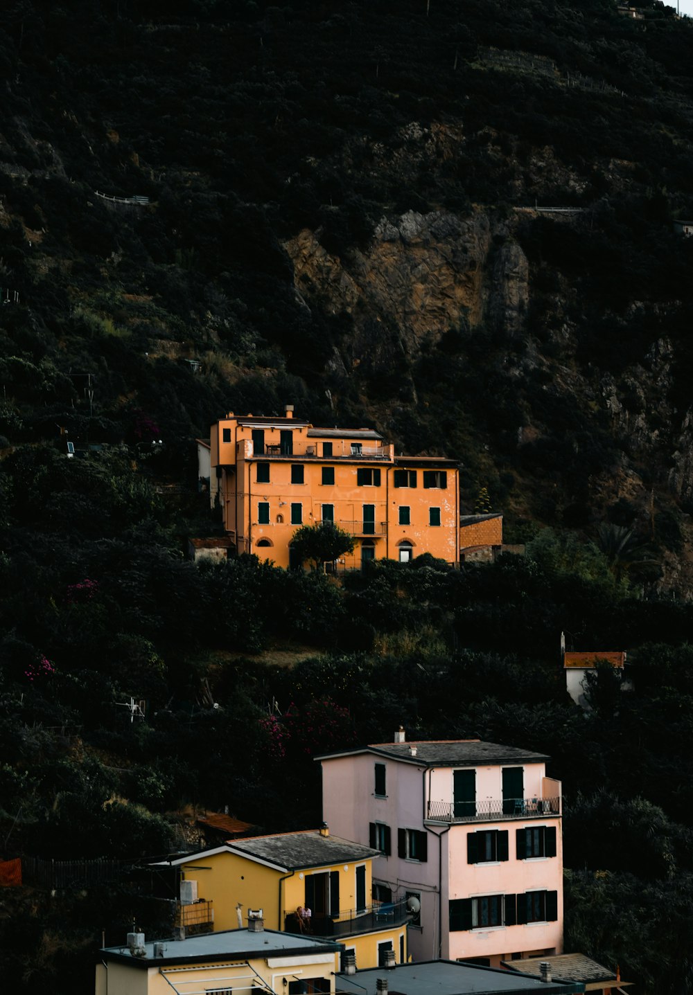 a hillside with houses on it and a mountain in the background