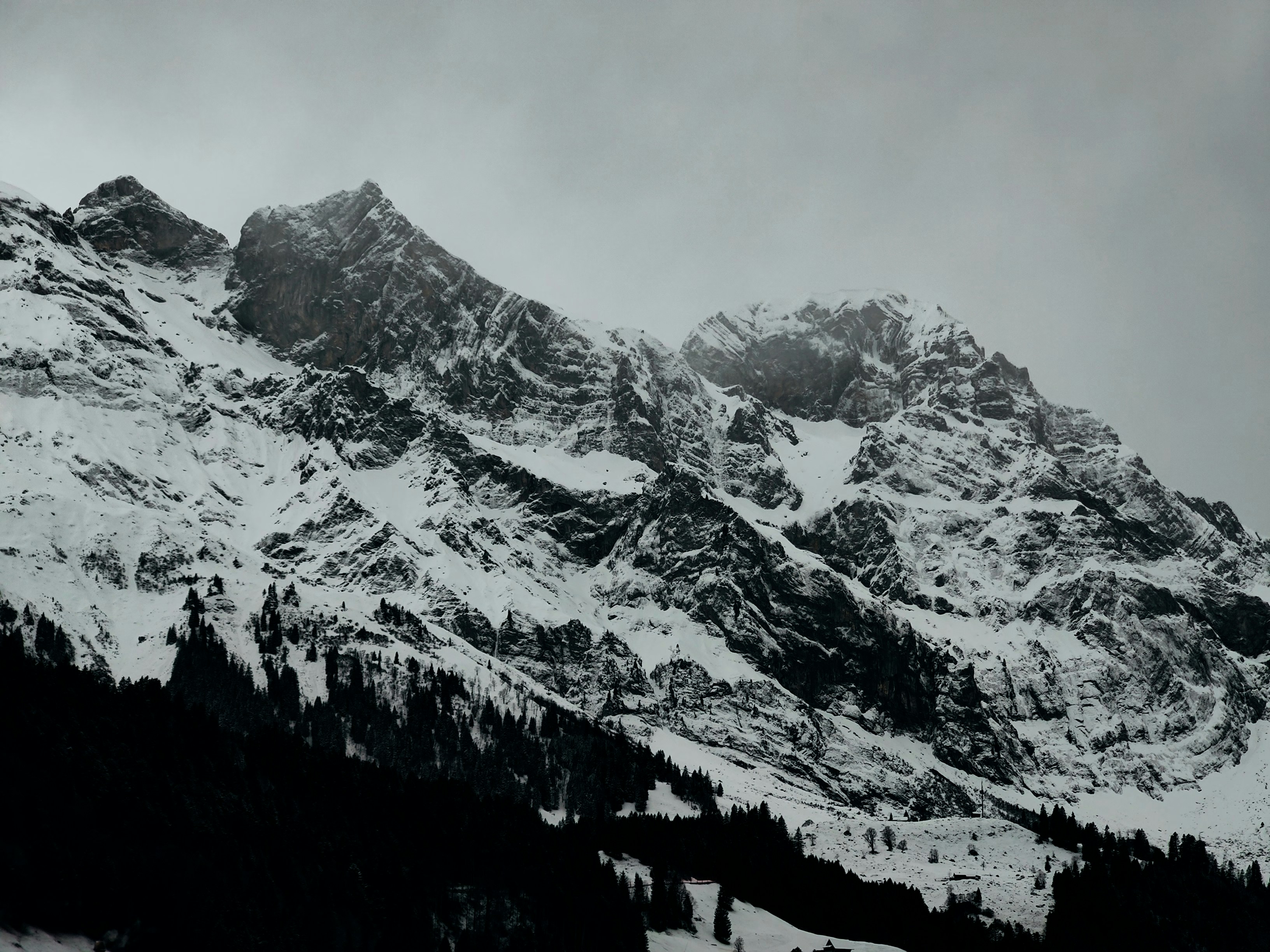 a mountain covered in snow and surrounded by trees