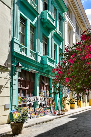 A vibrant street scene with a turquoise building featuring ornate balconies and window designs. The lower part of the building displays colorful artwork and clothing for sale. To the side, a richly blooming bougainvillea adds a splash of red, contrasting with the building. The path is cobblestone, suggesting an old, quaint setting.