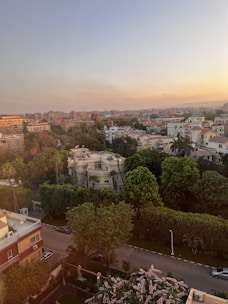 An aerial view of a suburban area abundant with greenery, featuring residential buildings nestled among trees. The horizon shows a clear sky gradually transitioning into a warm sunset. Roads and parked cars are visible, with lush trees dominating the landscape.