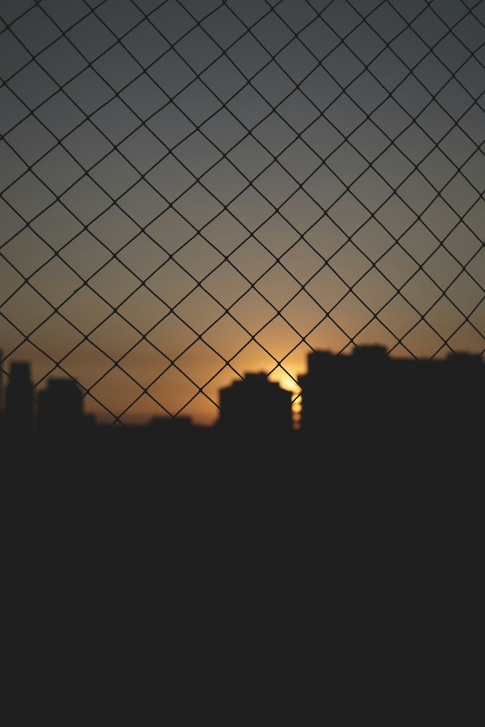 a sunset seen through a chain link fence