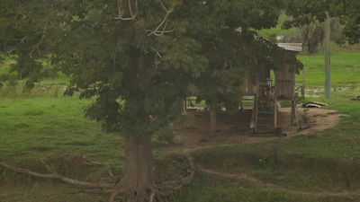 Traditional stilt house surrounded by lush greenery in Nà Cạn.