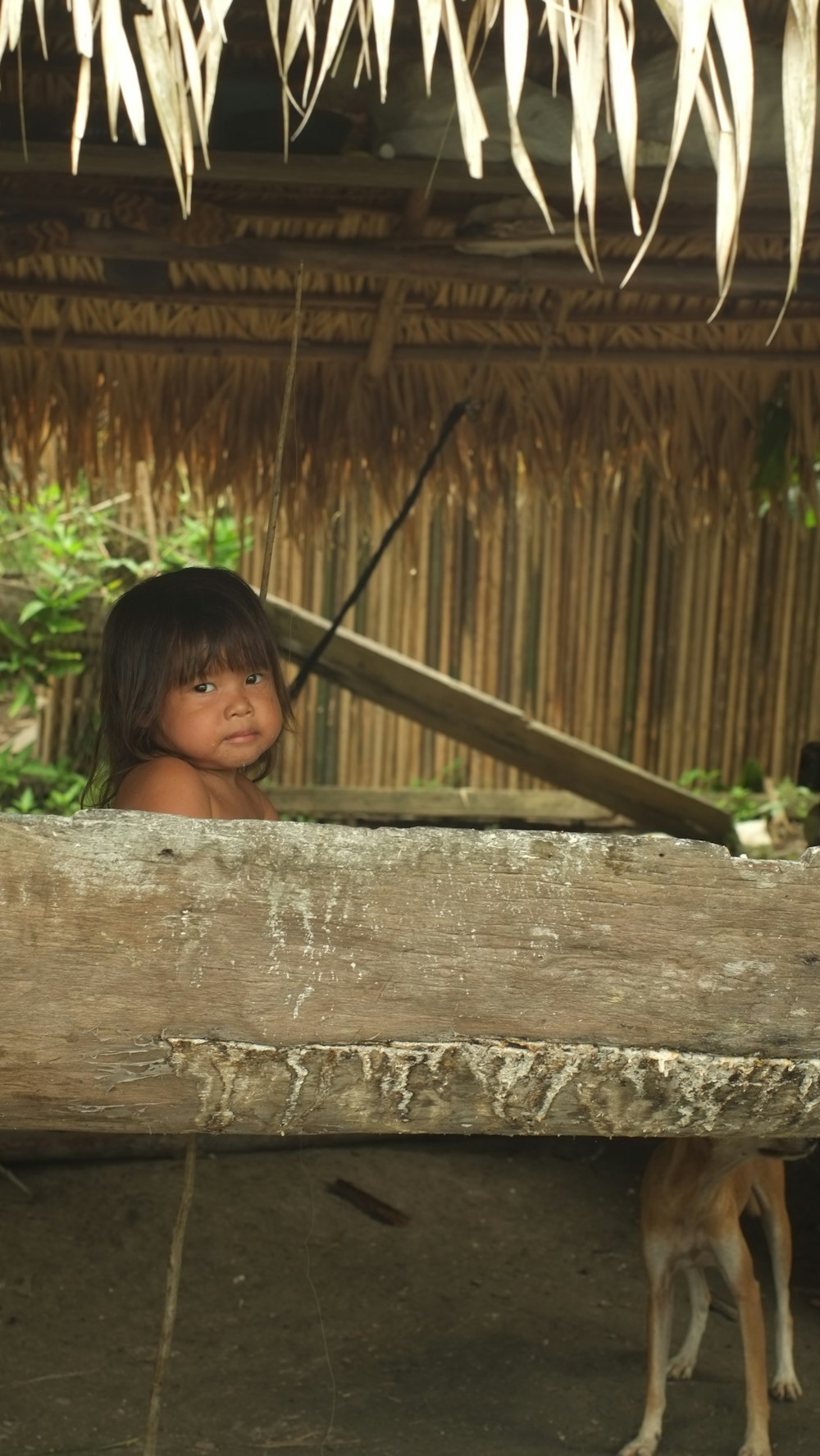 a young child standing behind a wooden bench