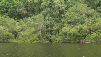 a man in a canoe on a river surrounded by trees