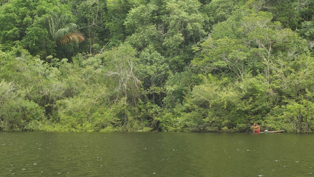 a man in a canoe on a river surrounded by trees