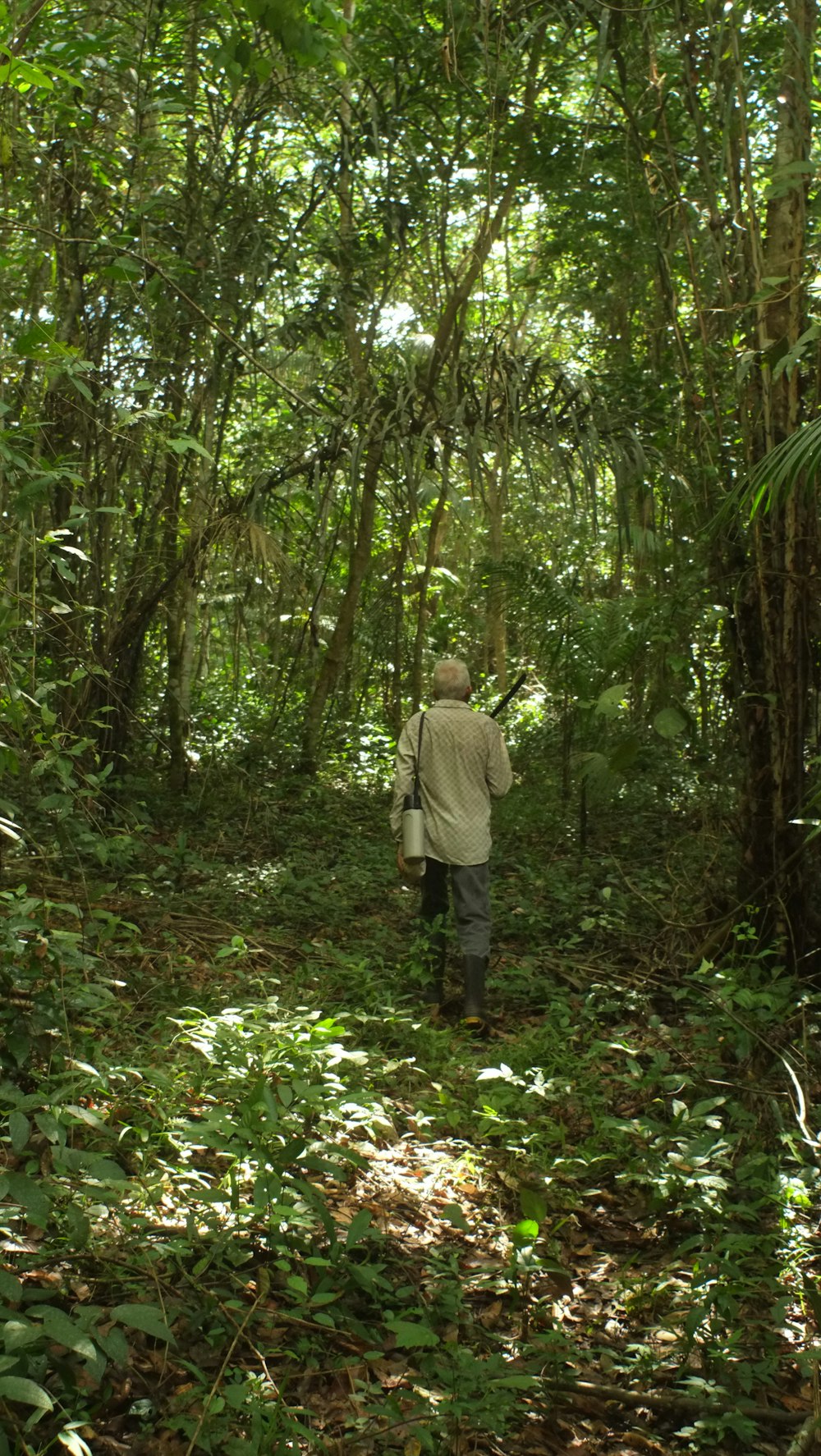 a man walking through a lush green forest