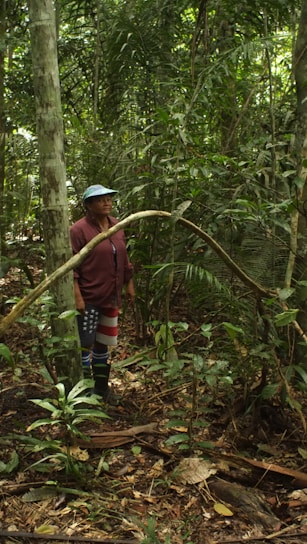 a man standing in the middle of a forest