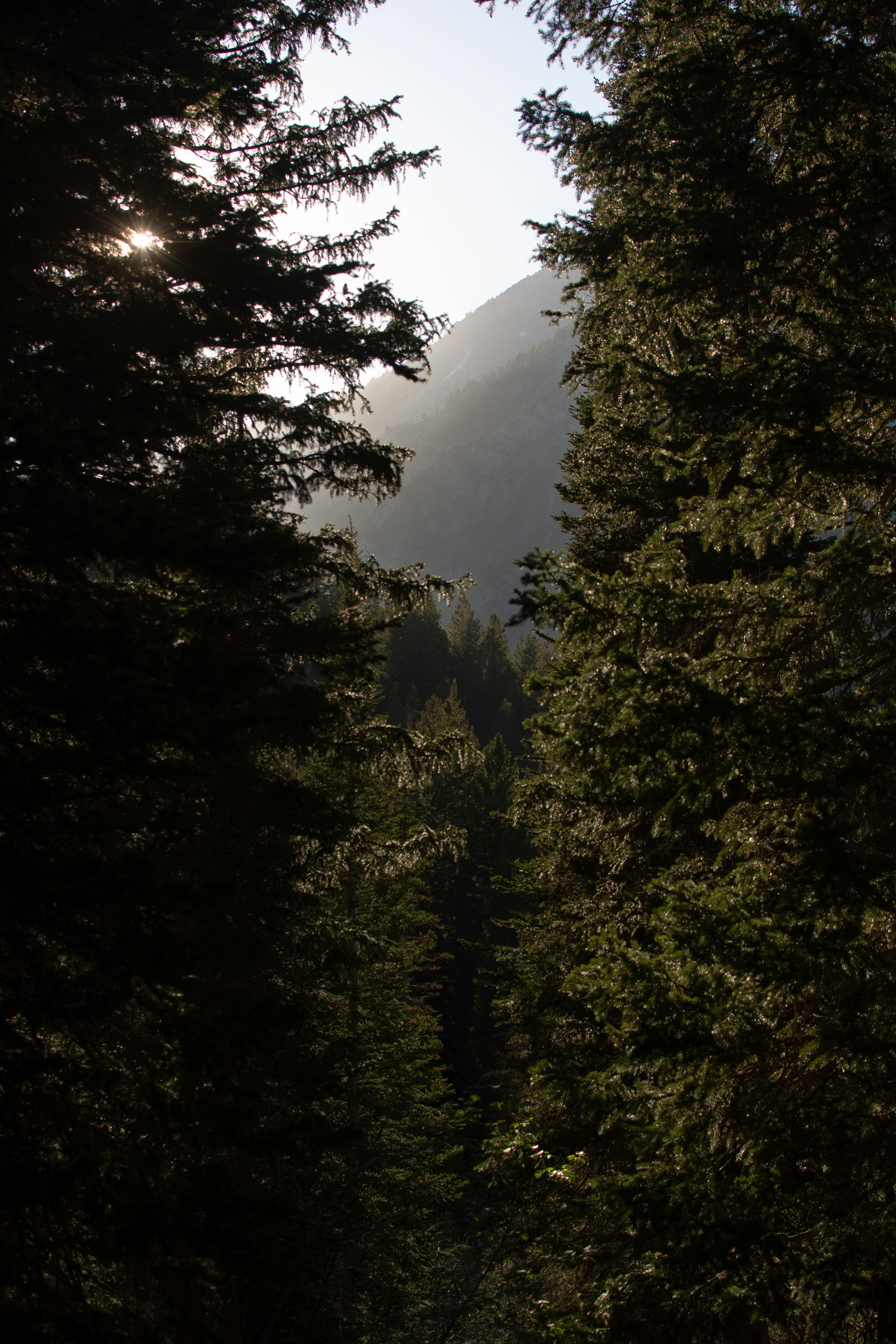 Photo by alexmoliski