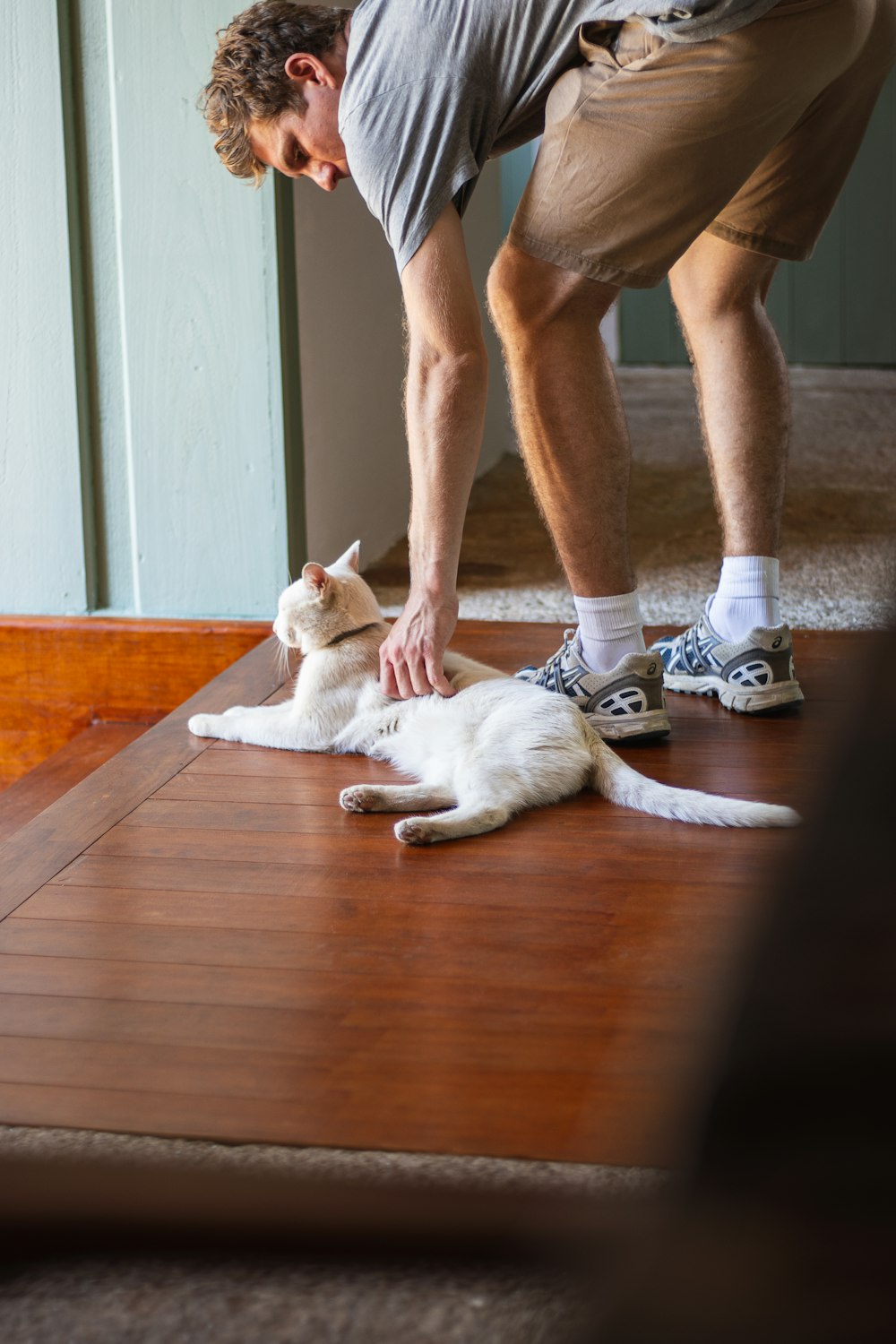 a man playing with a cat on the floor
