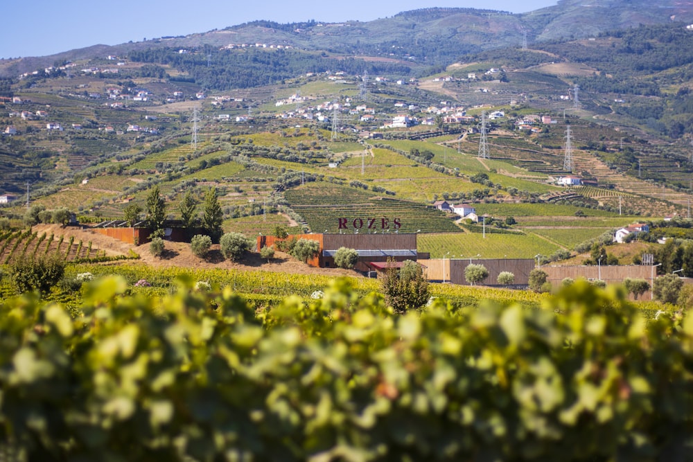 a view of a winery in the hills