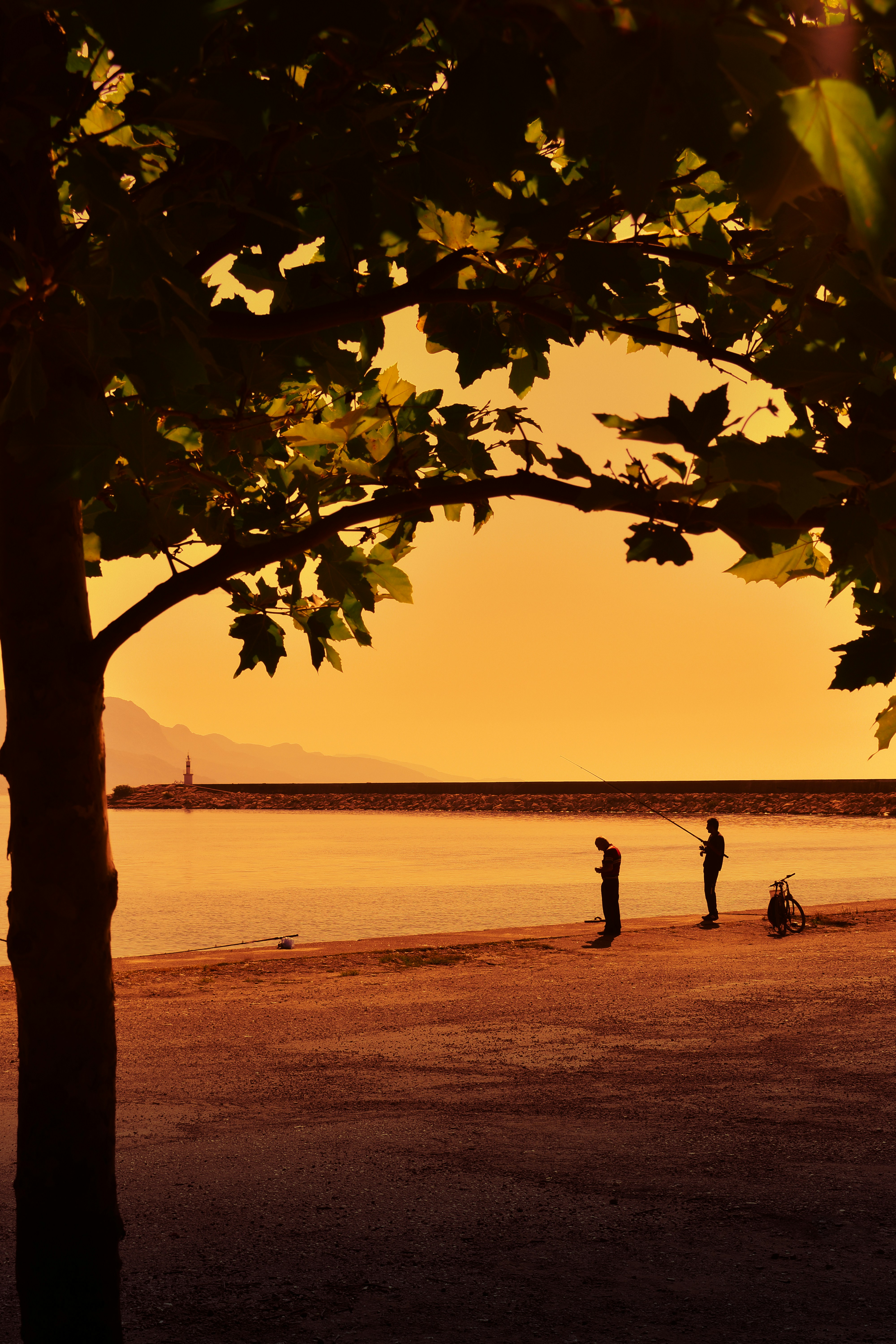 Photo by enesersahin