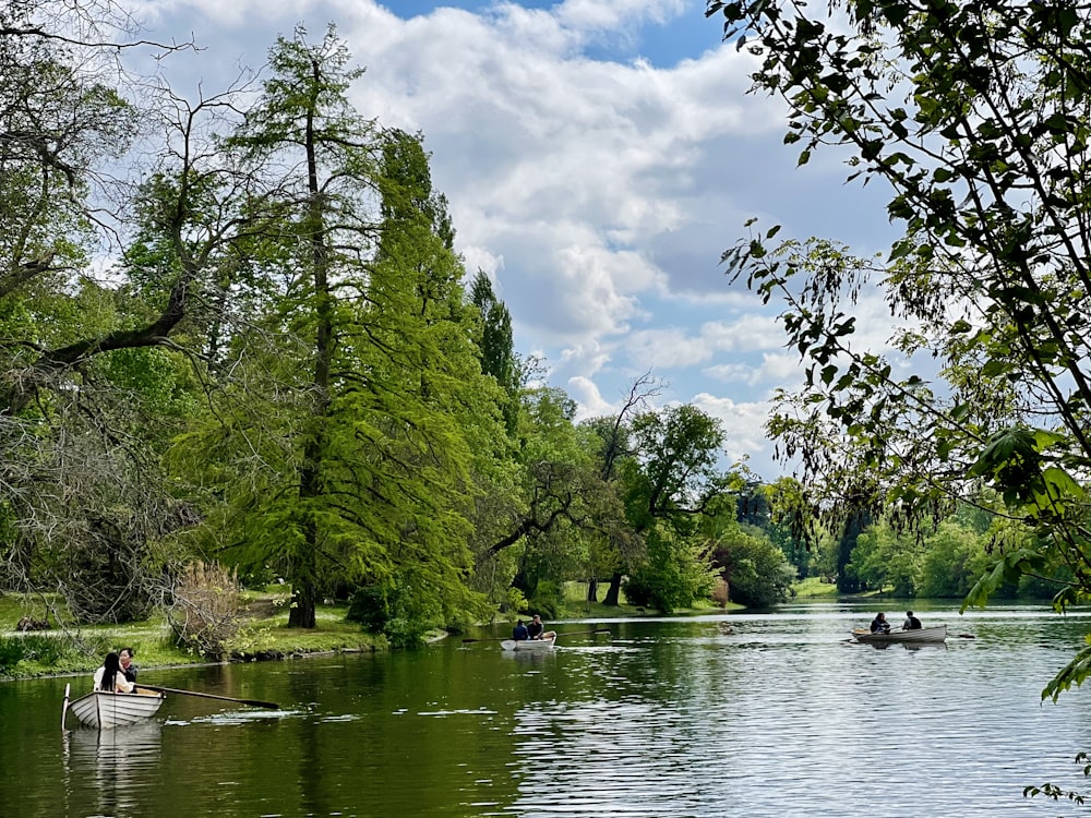 Deux personnes dans une barque à rames sur un lac