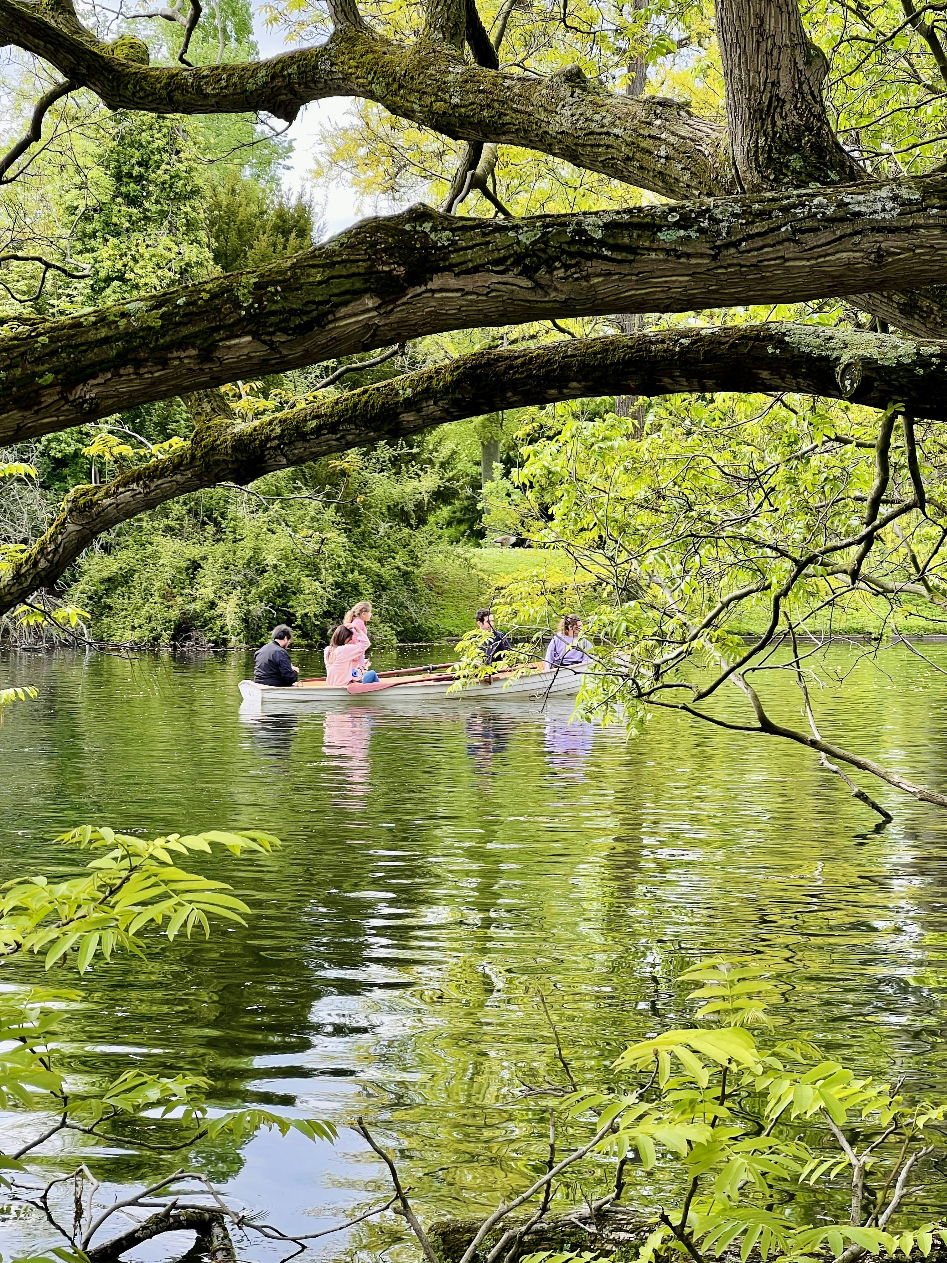 Bois de Boulogne photo 3