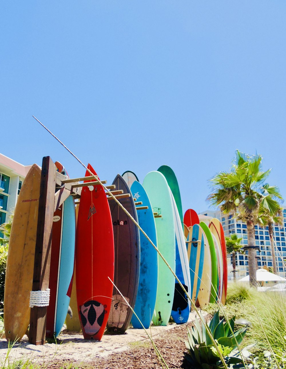 a row of surfboards sitting next to each other