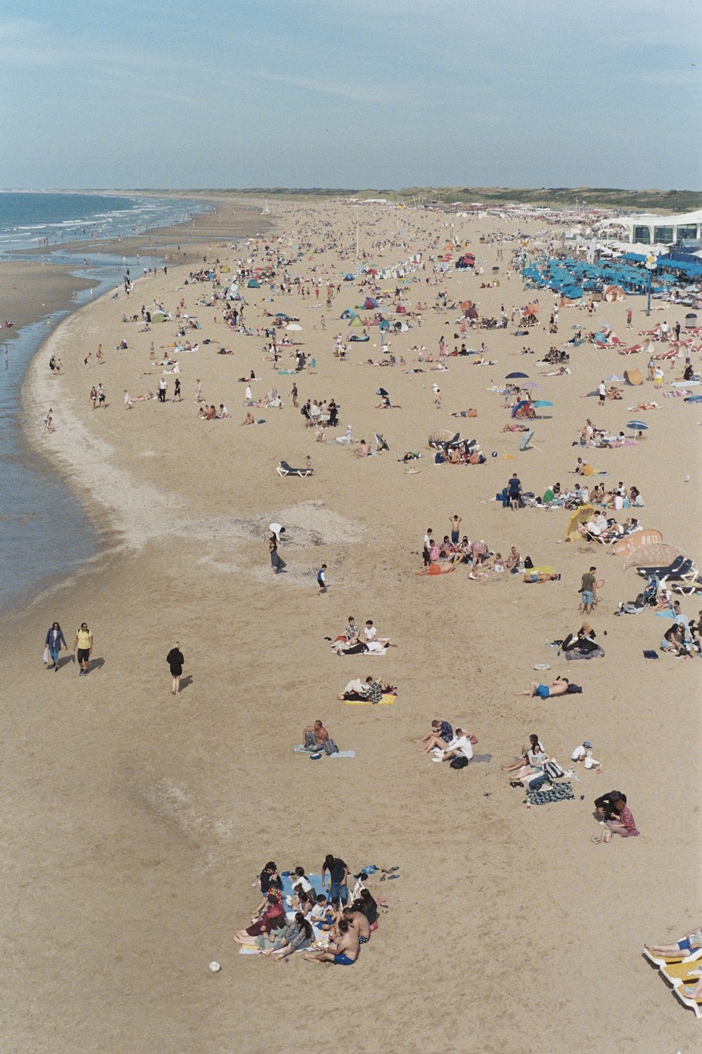 a large group of people on a beach