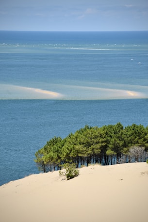 Photographie du Bassin d'Arcachon depuis la Dune du Pilat