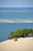 a group of trees sitting on top of a sandy beach