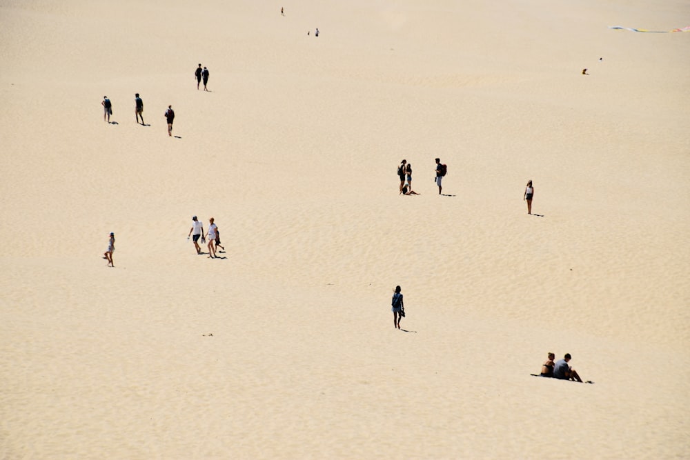 un groupe de personnes debout au sommet d’une plage de sable