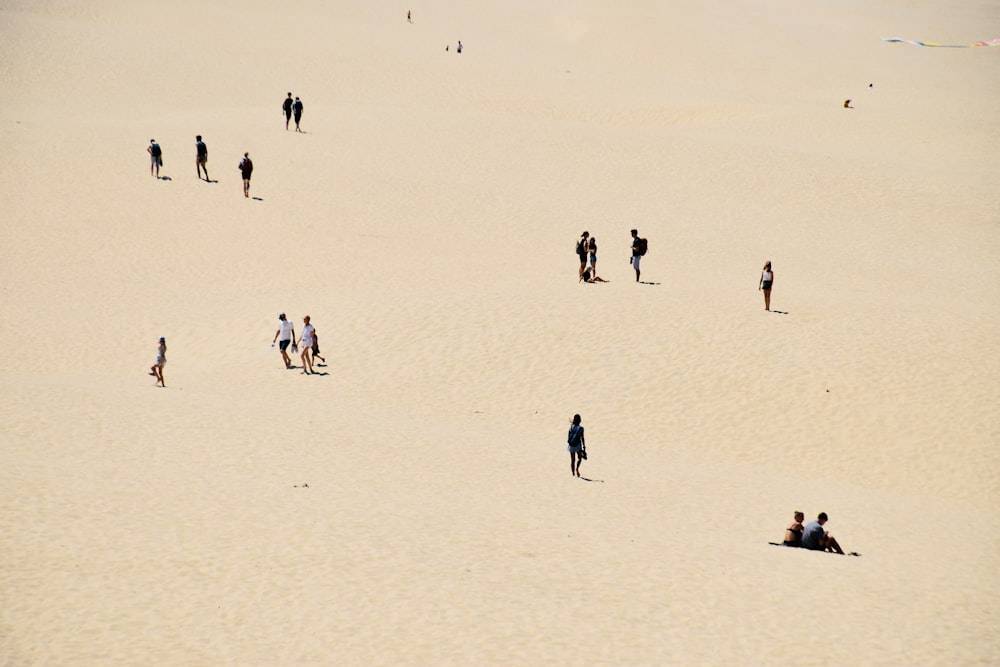 a group of people standing on top of a sandy beach