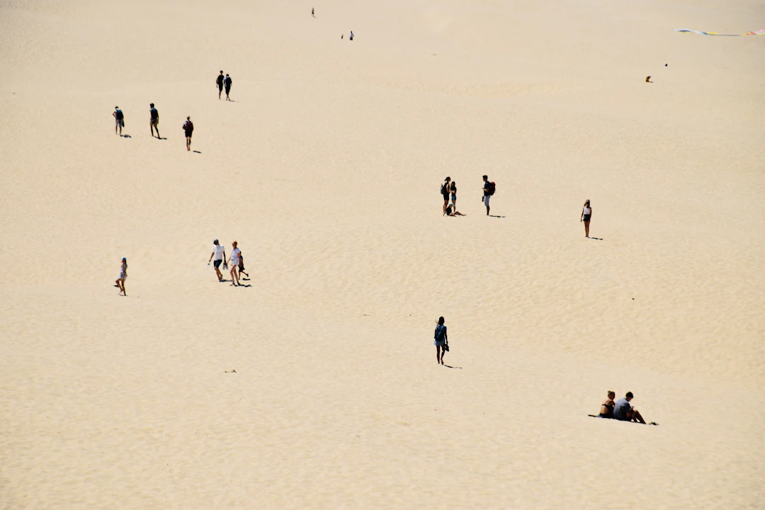 El Arcachon que no aparece en las guías: viaje slow 2026 El Arcachon que no aparece en las guías: viaje slow 2026