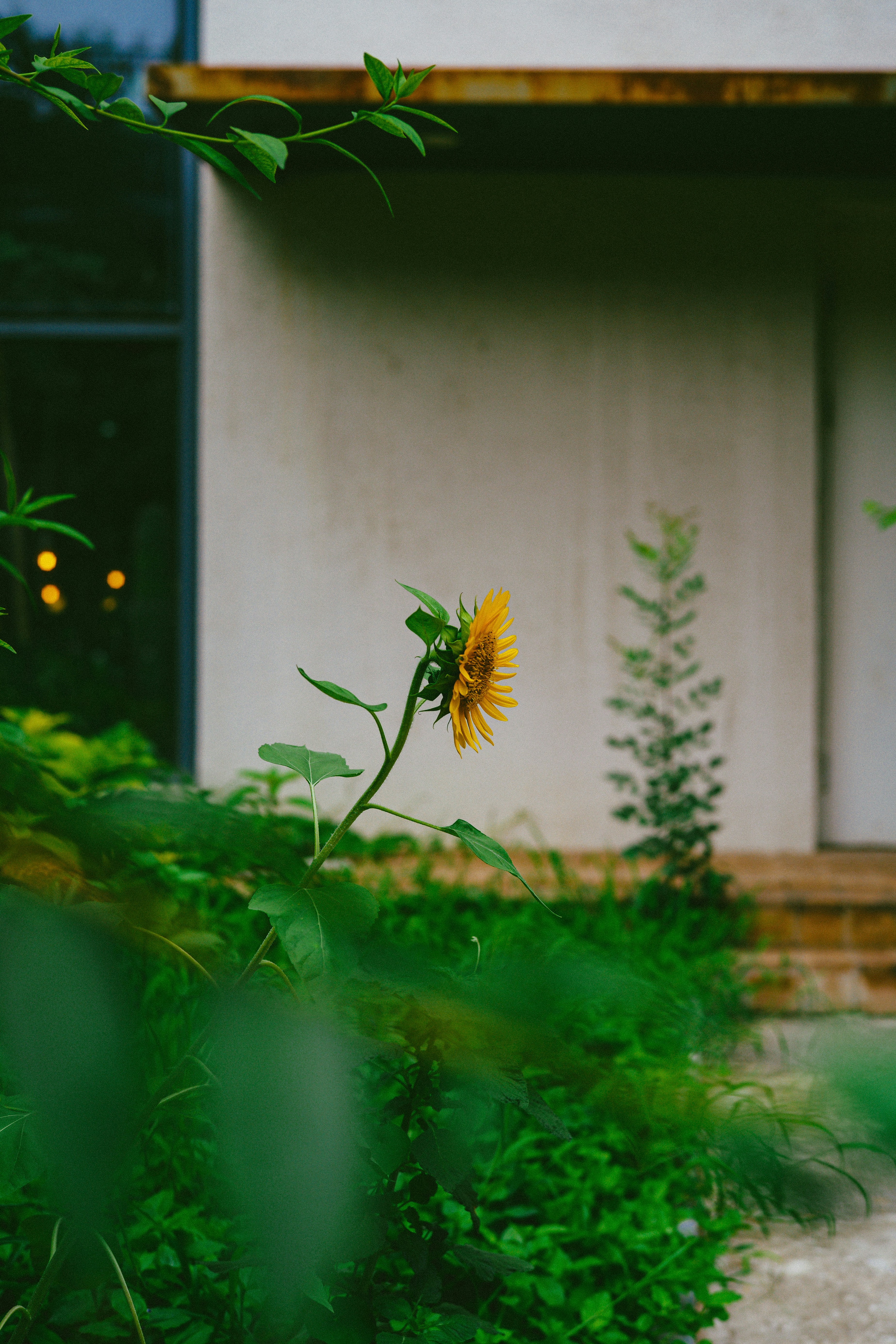 Photo by tommaomaoer