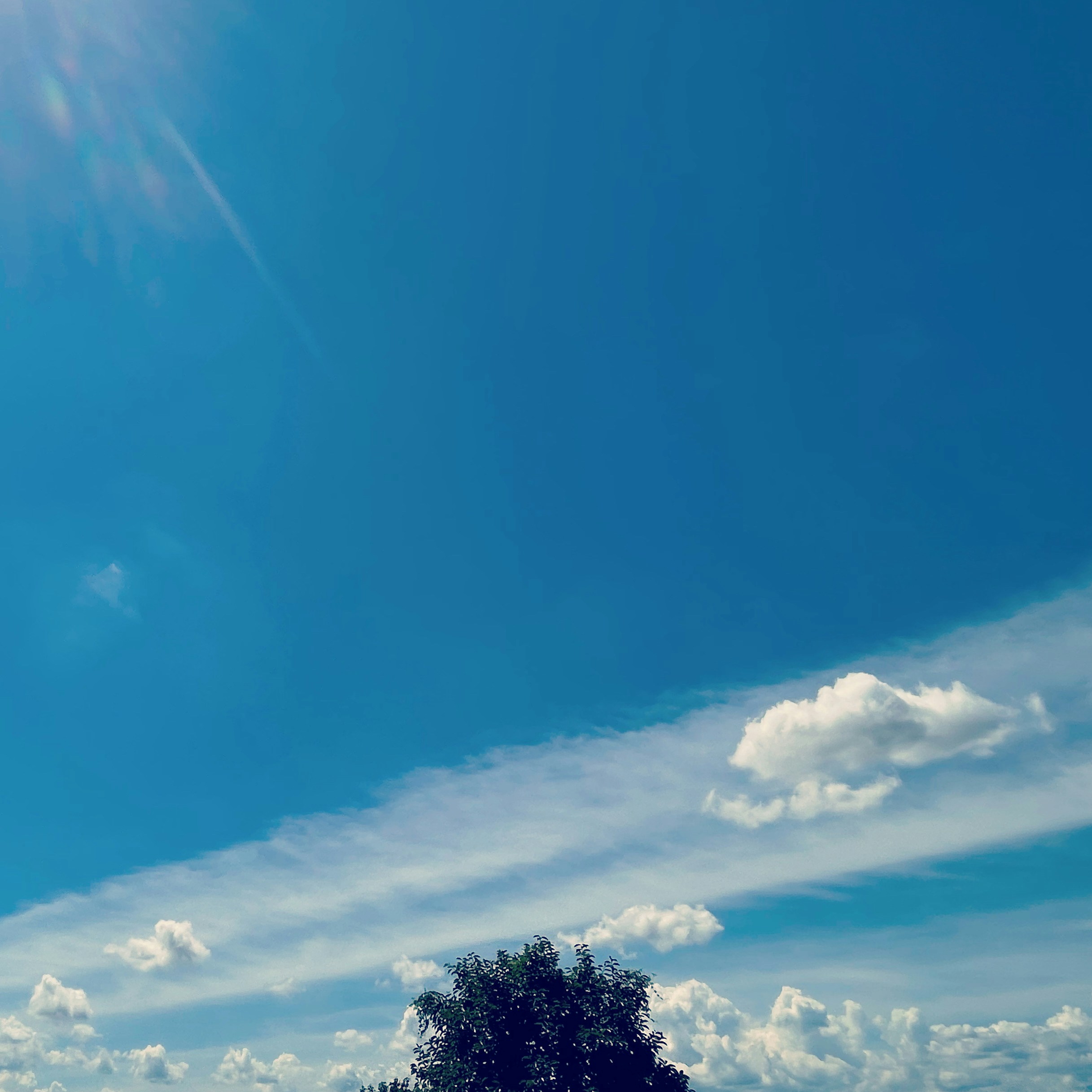 Photo by blueskywalker