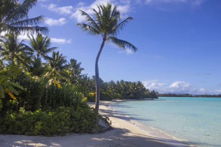 A vibrant beach scene with turquoise waters and palm trees under a clear blue sky