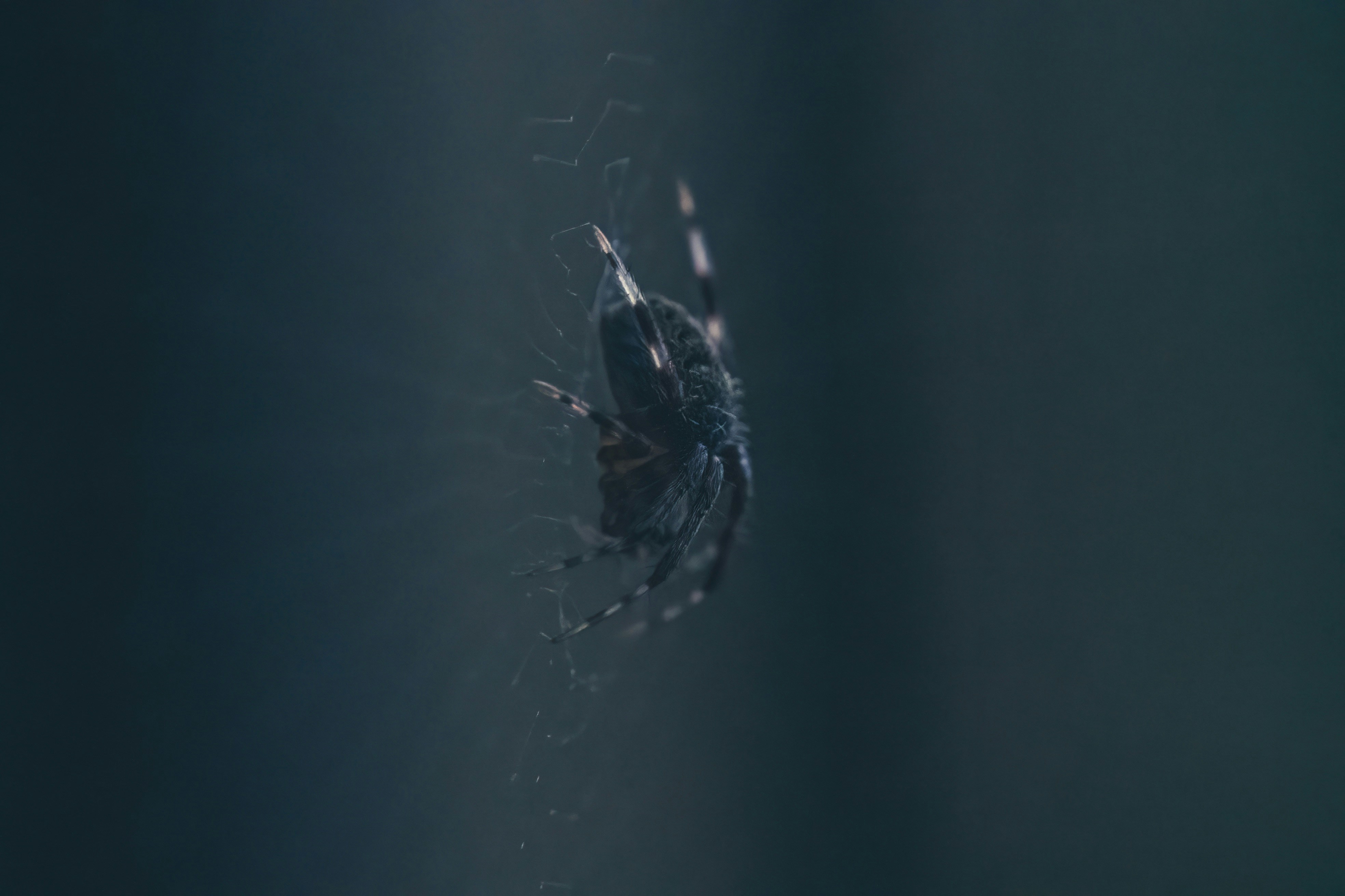 Photo by palmourphotography