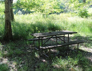 A sturdy picnic table with bench set on a grassy meadow surrounded by tall trees and sunlight filtering through.