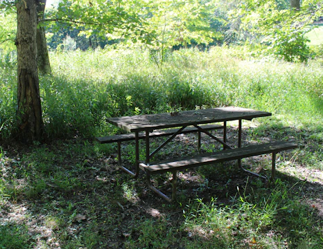 A handcrafted wooden picnic table set in a sunlit garden.