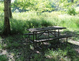 A wooden picnic table and bench set situated in a shaded area surrounded by lush greenery. Sunlight filters through the tree leaves, creating dappled patterns on the ground.