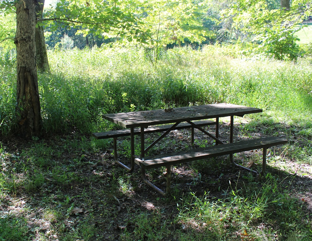 a picnic table in the shade of a tree