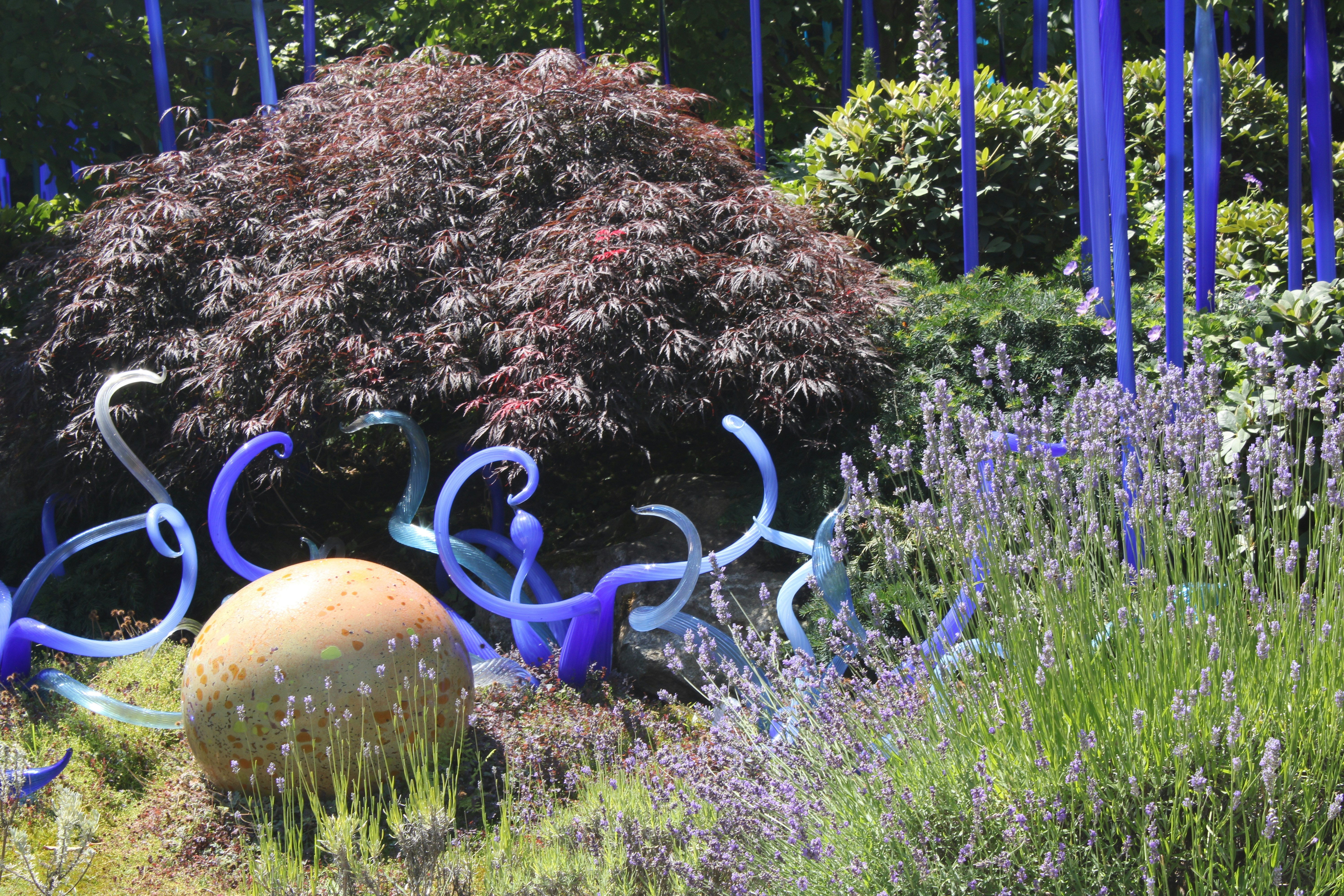 blown glass in a garden