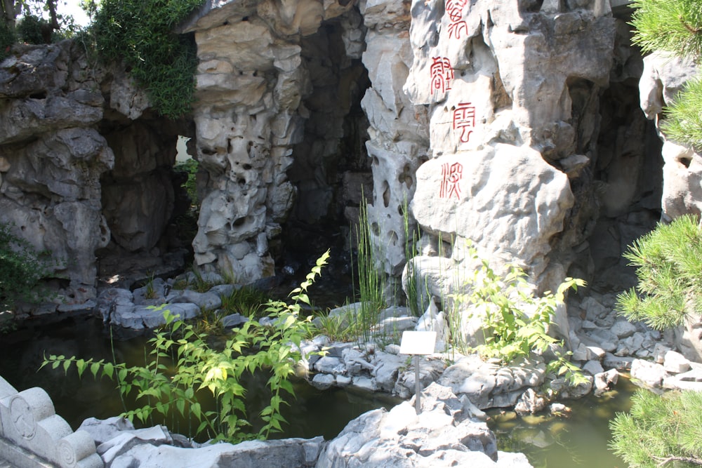 a small pond surrounded by rocks and plants