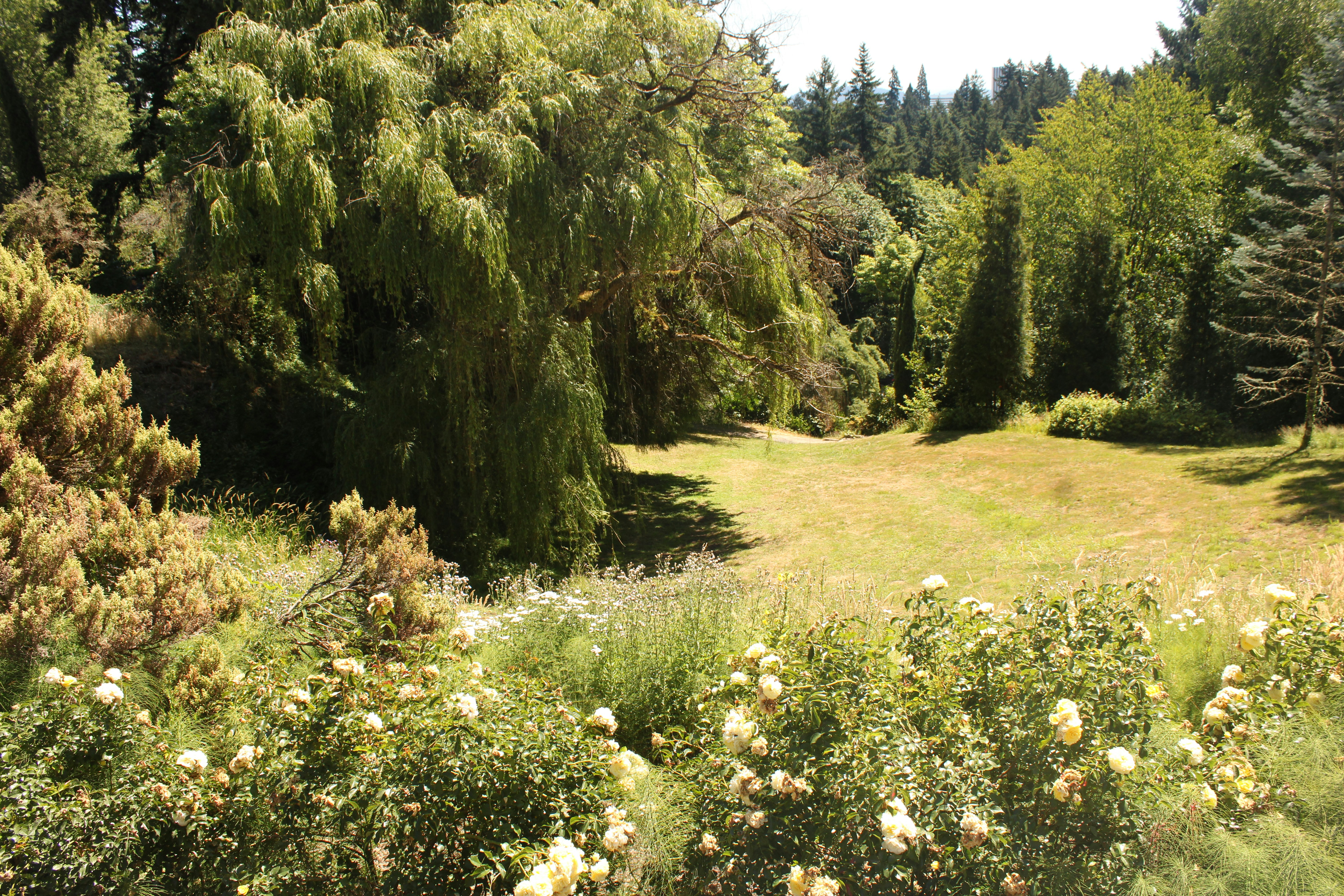 Photo by peterandjudy