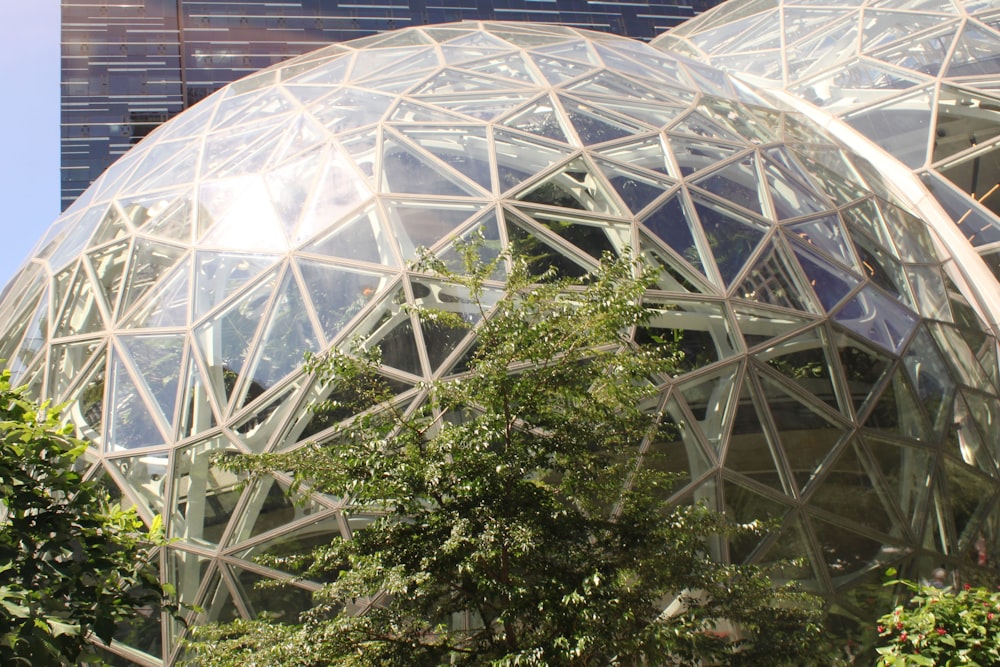 a large glass dome with a clock on the side of it