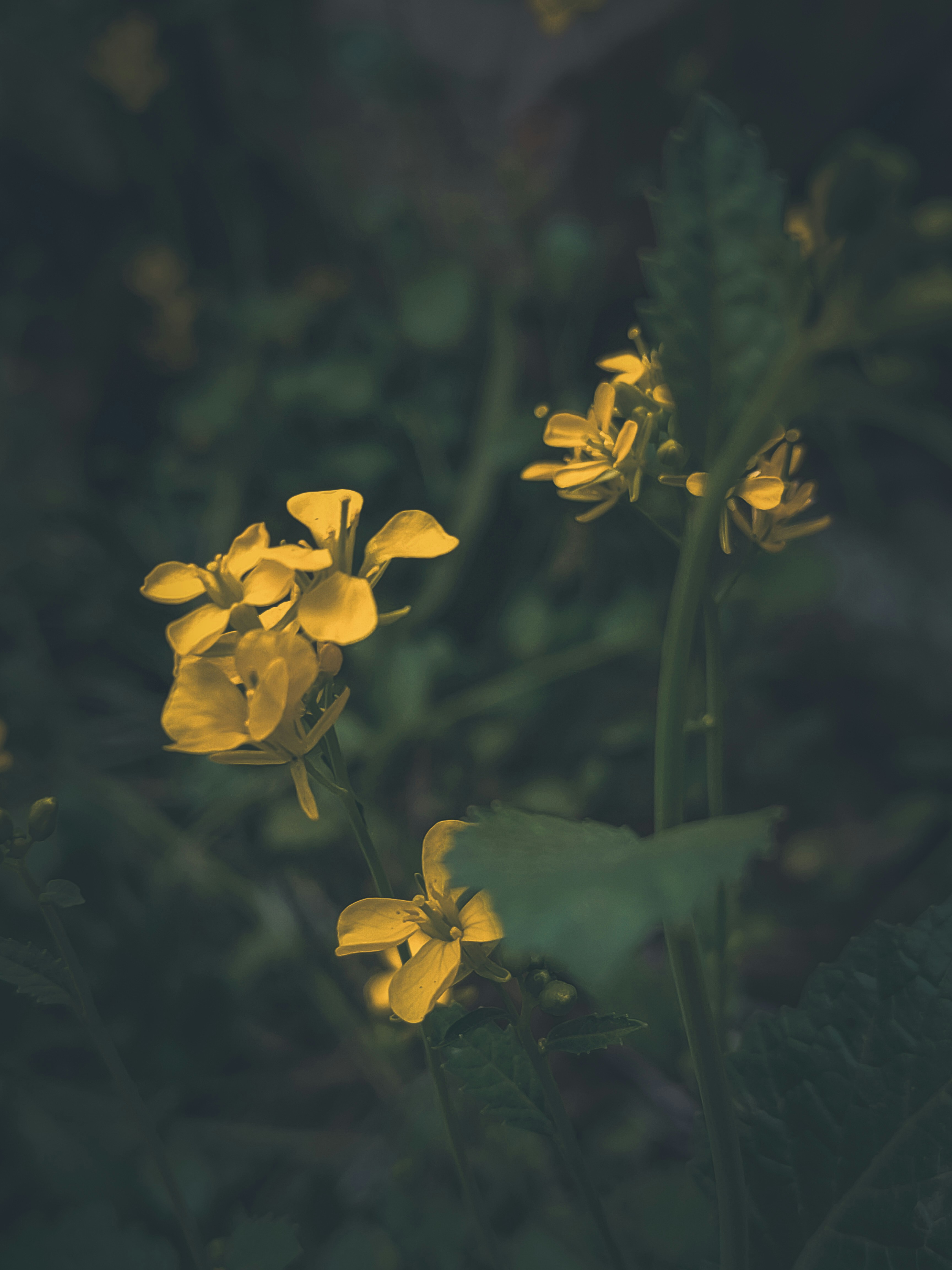 Photo by sujaypaulsp