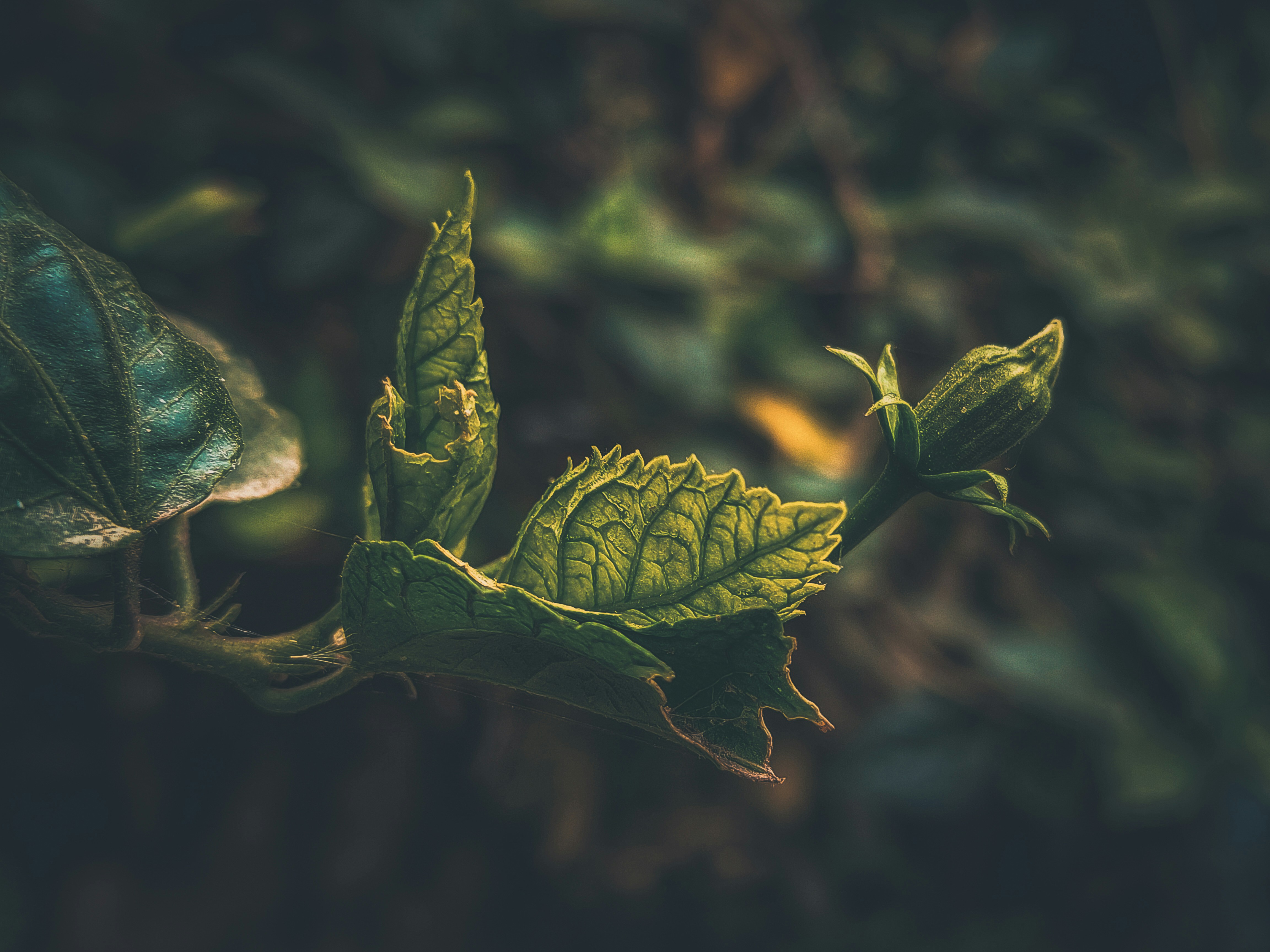 Photo by sujaypaulsp