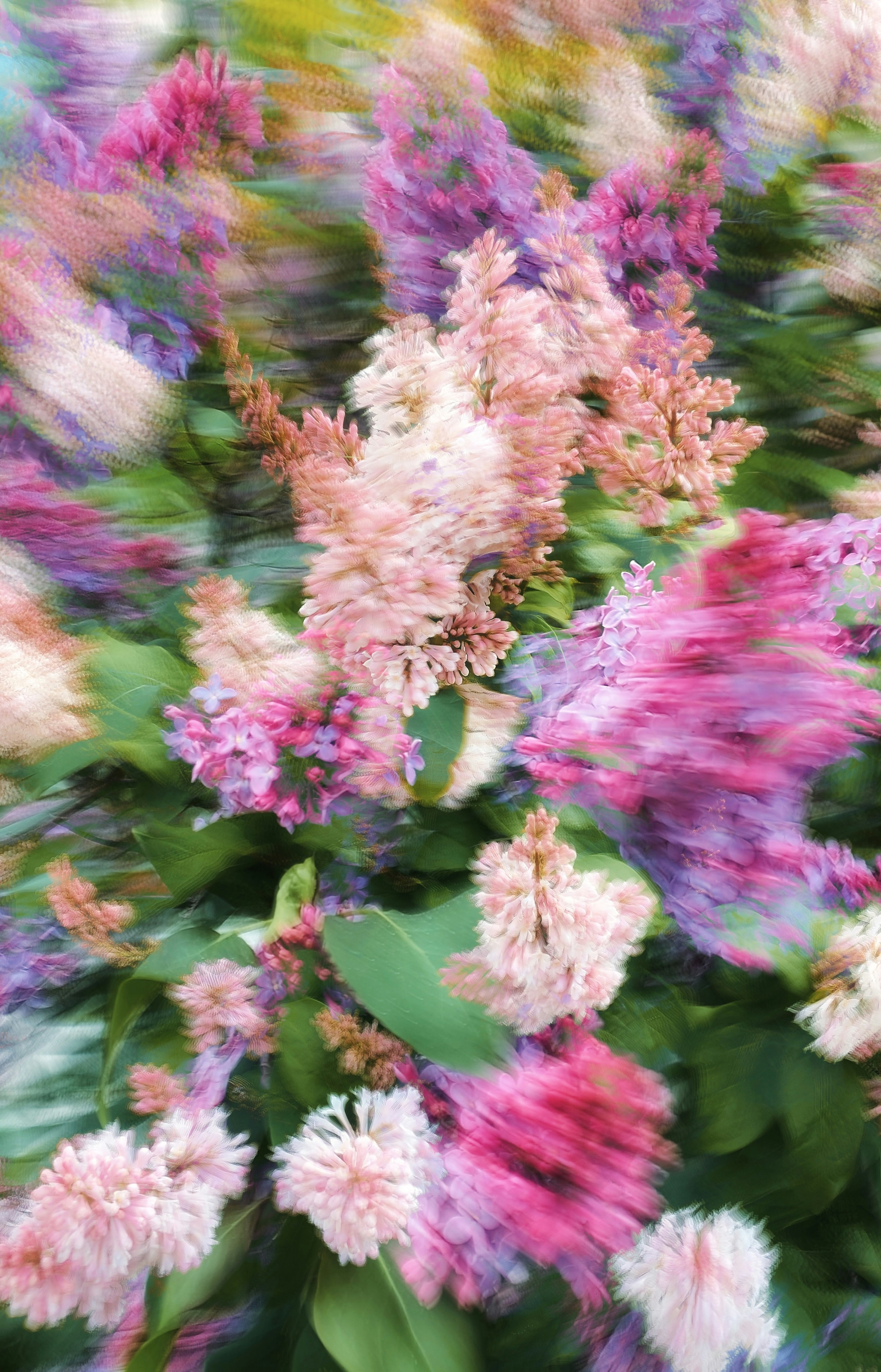 Photo by eugene_golovesov