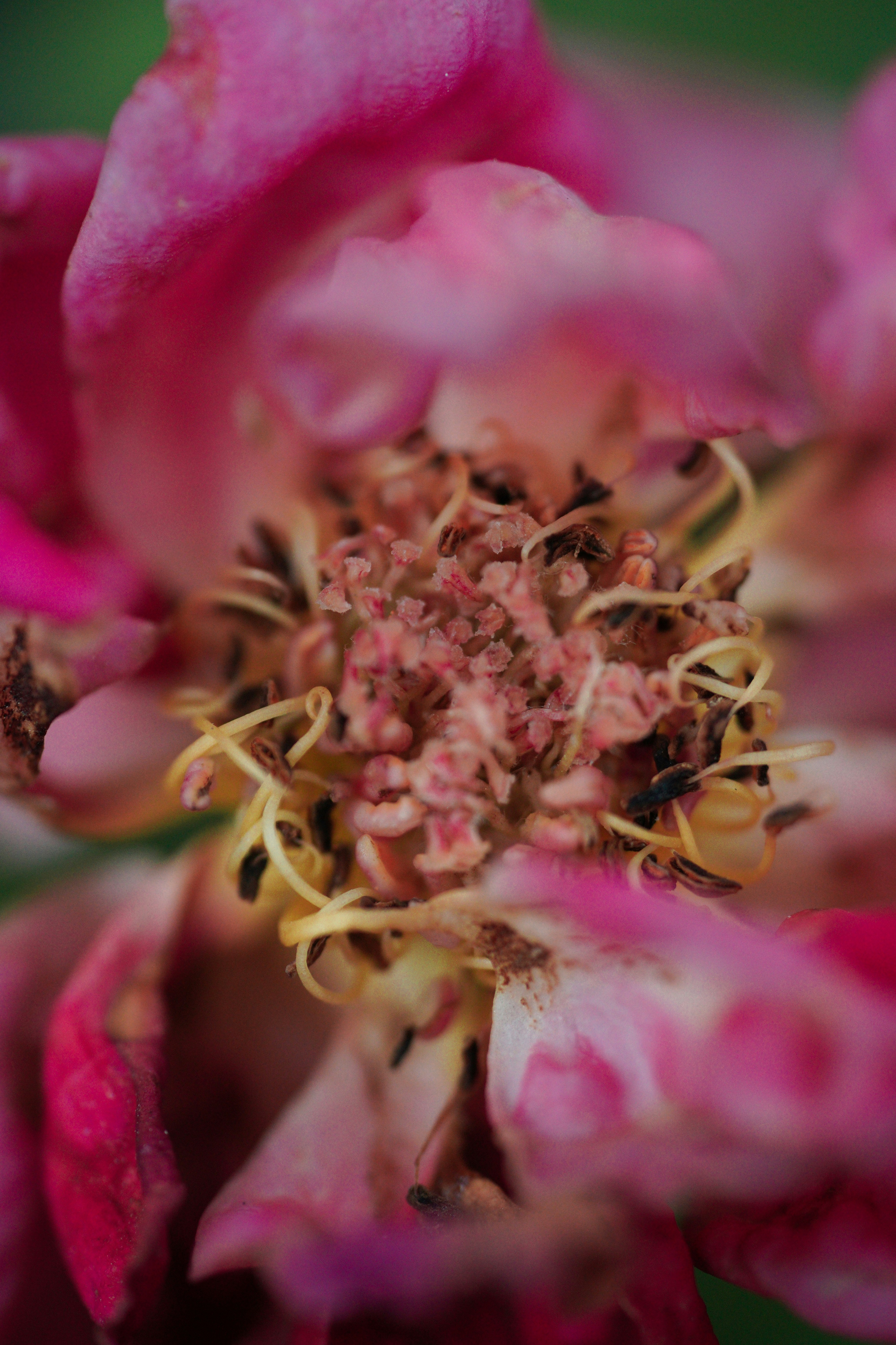 Photo by countingframez