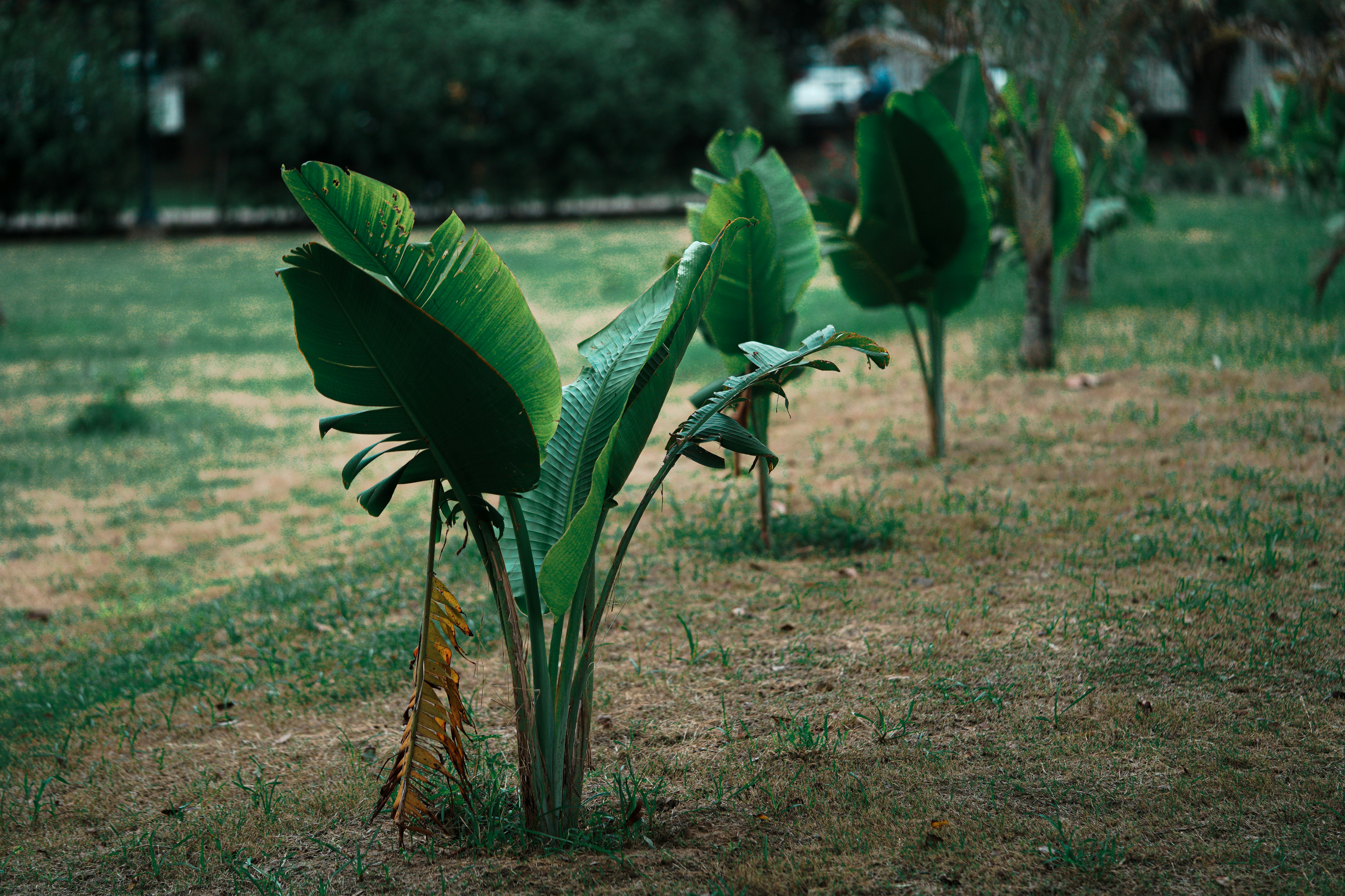 Photo by countingframez