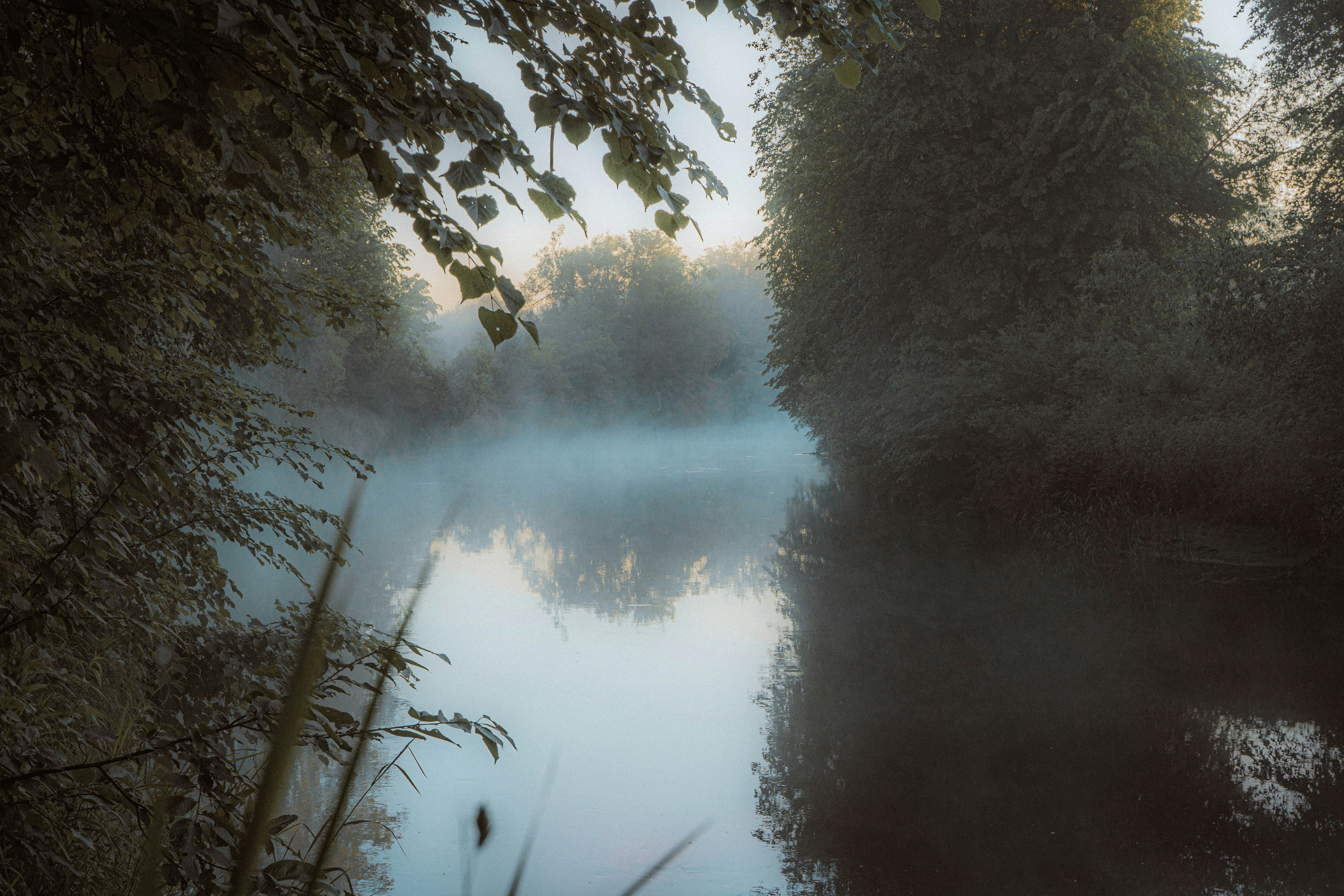 Photo by abalashevsky