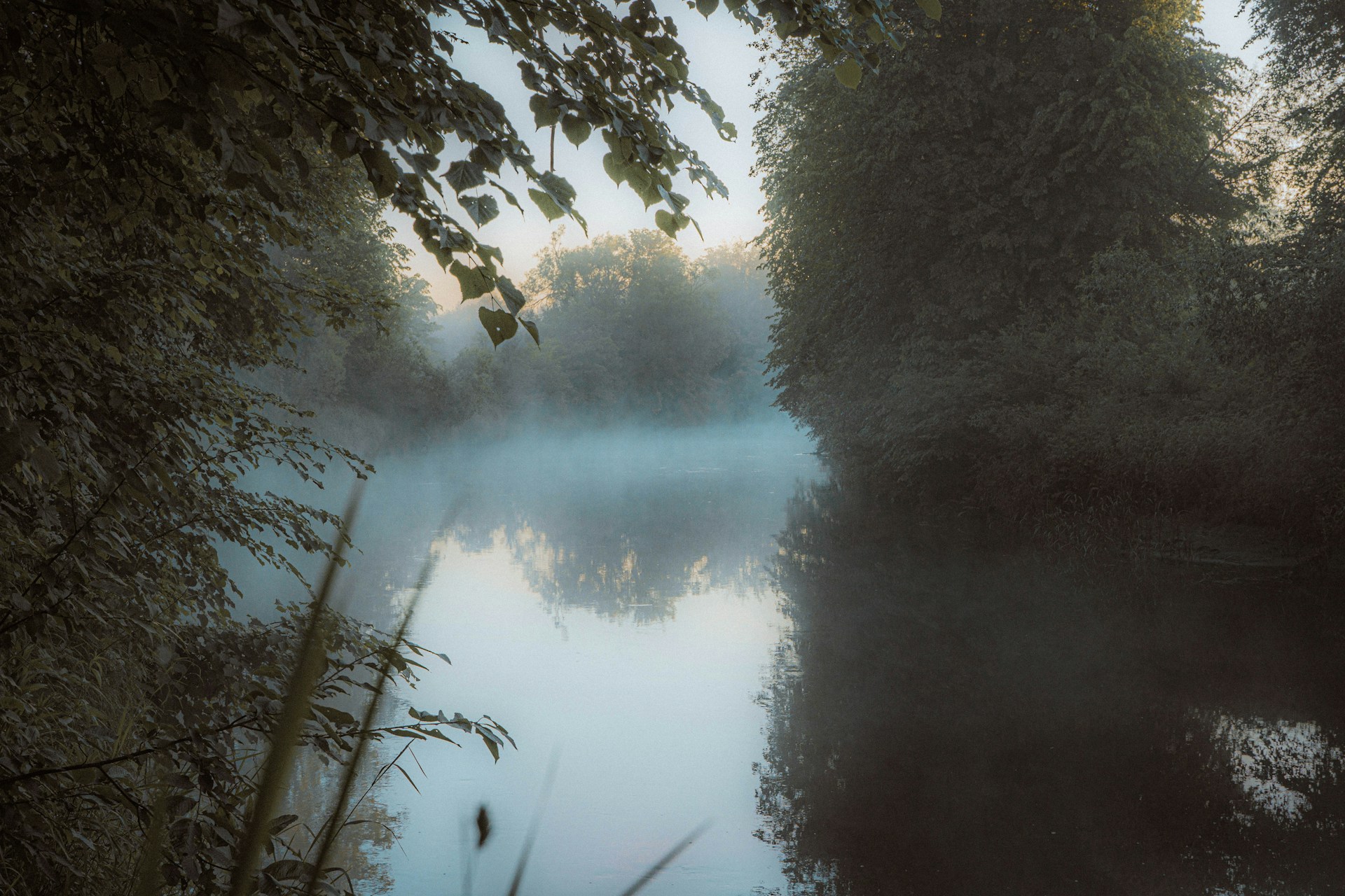 a body of water surrounded by trees and fog