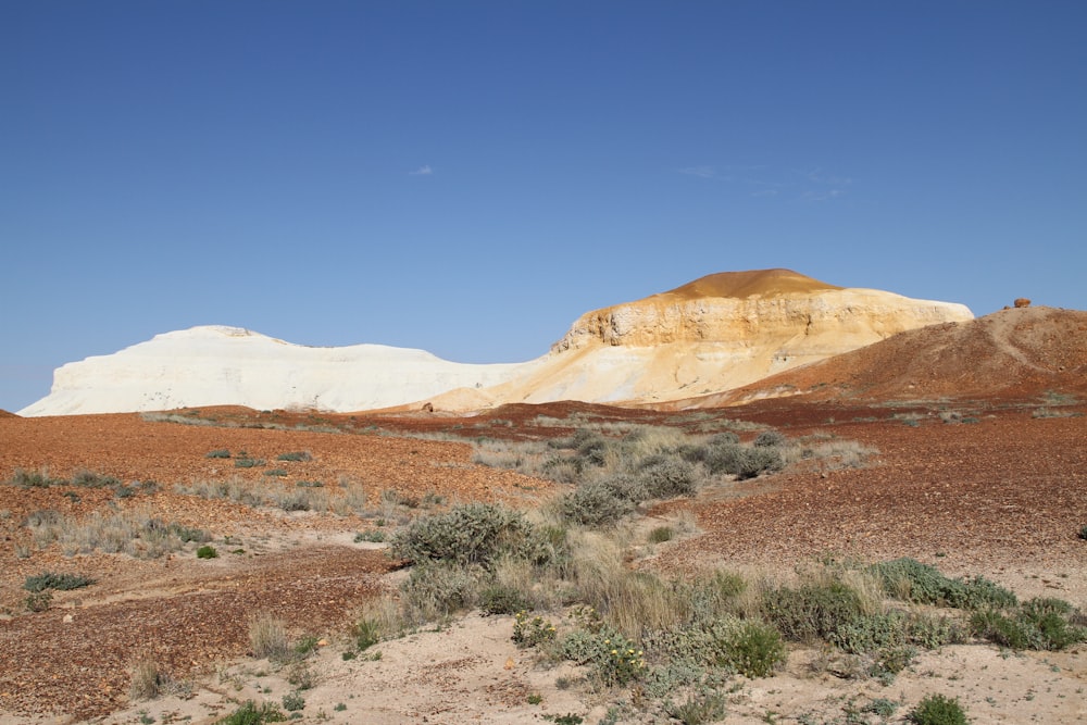 a desert landscape with a mountain in the background