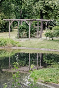 A scenic garden setting featuring a wooden pergola intertwined with green vines. The pergola stands beside a reflective pond, surrounded by lush green grass and various trees in the background. The serene body of water mirrors the pergola and surrounding foliage, creating a peaceful atmosphere.