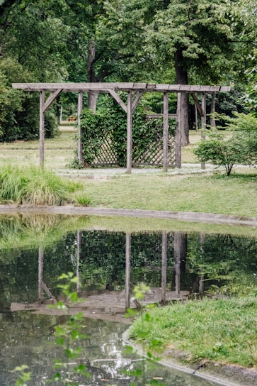 A scenic garden setting featuring a wooden pergola intertwined with green vines. The pergola stands beside a reflective pond, surrounded by lush green grass and various trees in the background. The serene body of water mirrors the pergola and surrounding foliage, creating a peaceful atmosphere.