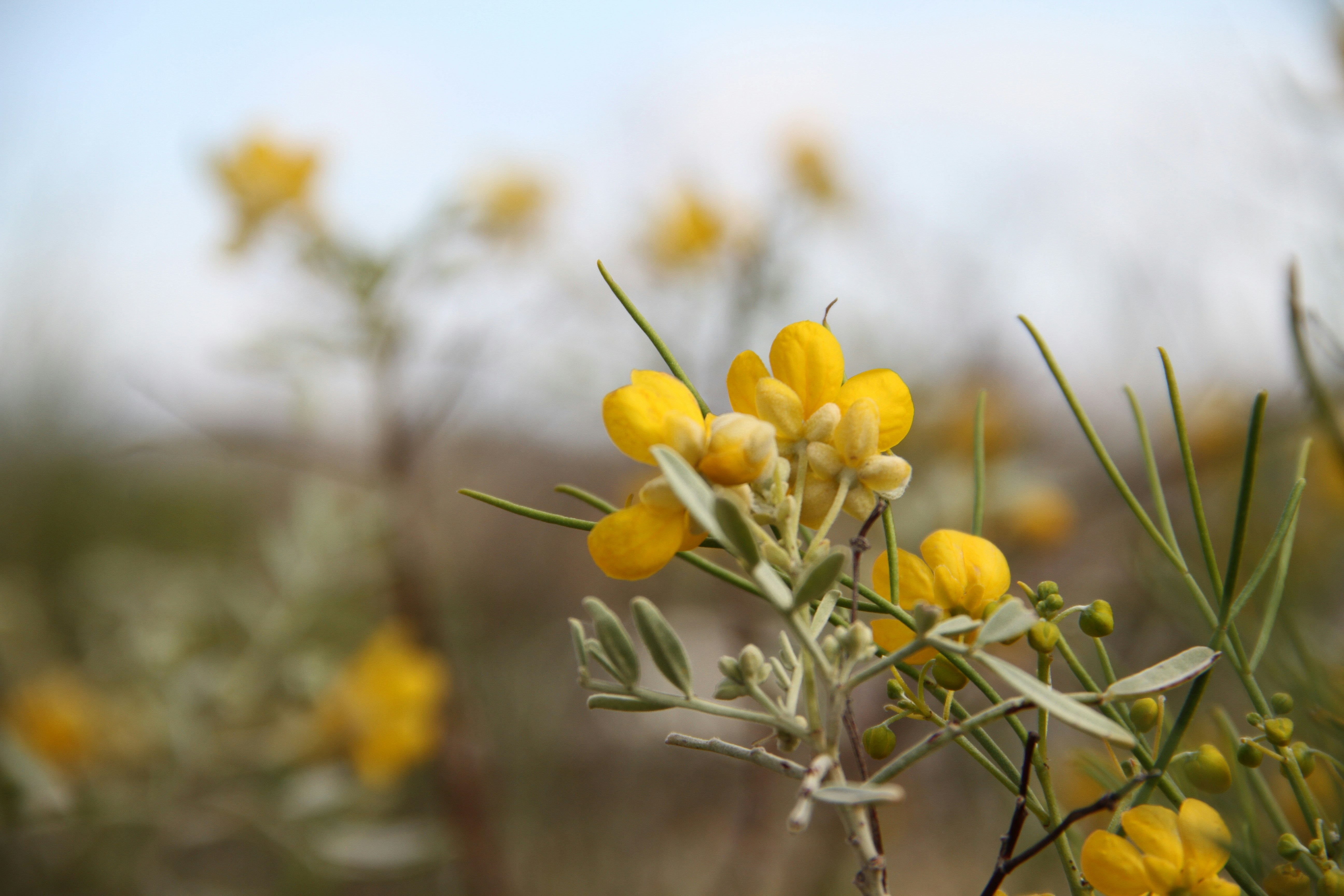 Photo by paulvanlieshouthunt